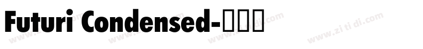 Futuri Condensed字体转换